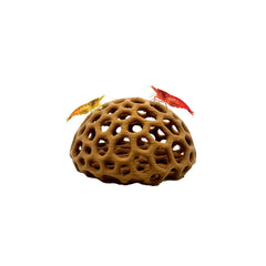 CTWPets cachette dôme crevettes cerises, refuge discret et facile d'entretien.