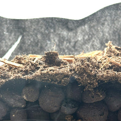 CTWPets maillage protection substrat terrarium, dimensions adaptées pour petits reptiles