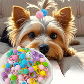 Pompons multicolores cuchenhuan décorant le pelage chien et chat pour un style ludique.