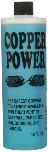 Cuivre Power Endich ACP0016B : bouteille bleue prête au traitement des poissons marins