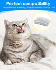 Filtre Cunina pour fontaine chien et chat, installation facile.