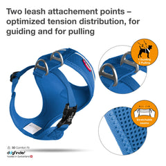 Harnais Curli Basic Air-Mesh montrant les deux anneaux pour contrôle et attelage.