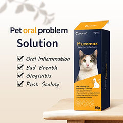Application MucoMax sur gencives et langue pour soutien quotidien
