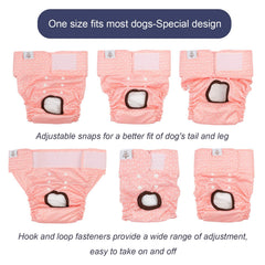CuteBone couches pour chienne femelle – élastiques ajustables pour un maintien optimal.