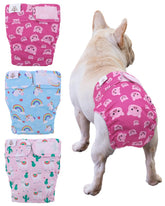 CuteBone couches pour chienne sans queue – vue avant, prévenir les fuites.