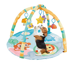 Cutie Patootie Playhouse: couleurs jaune et bleu stimulent la vision du compagnon.
