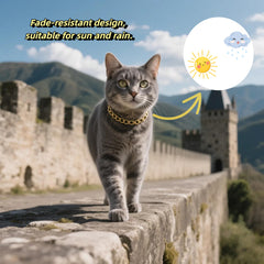 CWYZA collier-chat or résistant au ternissement, brillance durable.