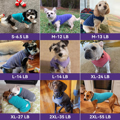 Pull chien utilisable en intérieur, seul ou sous une veste pour le froid.