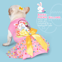 Robe cyeollo chien à points colorés pour un look chic.