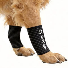 CynosCape Brace patte avant : soutien ajustable pour patte avant et confort