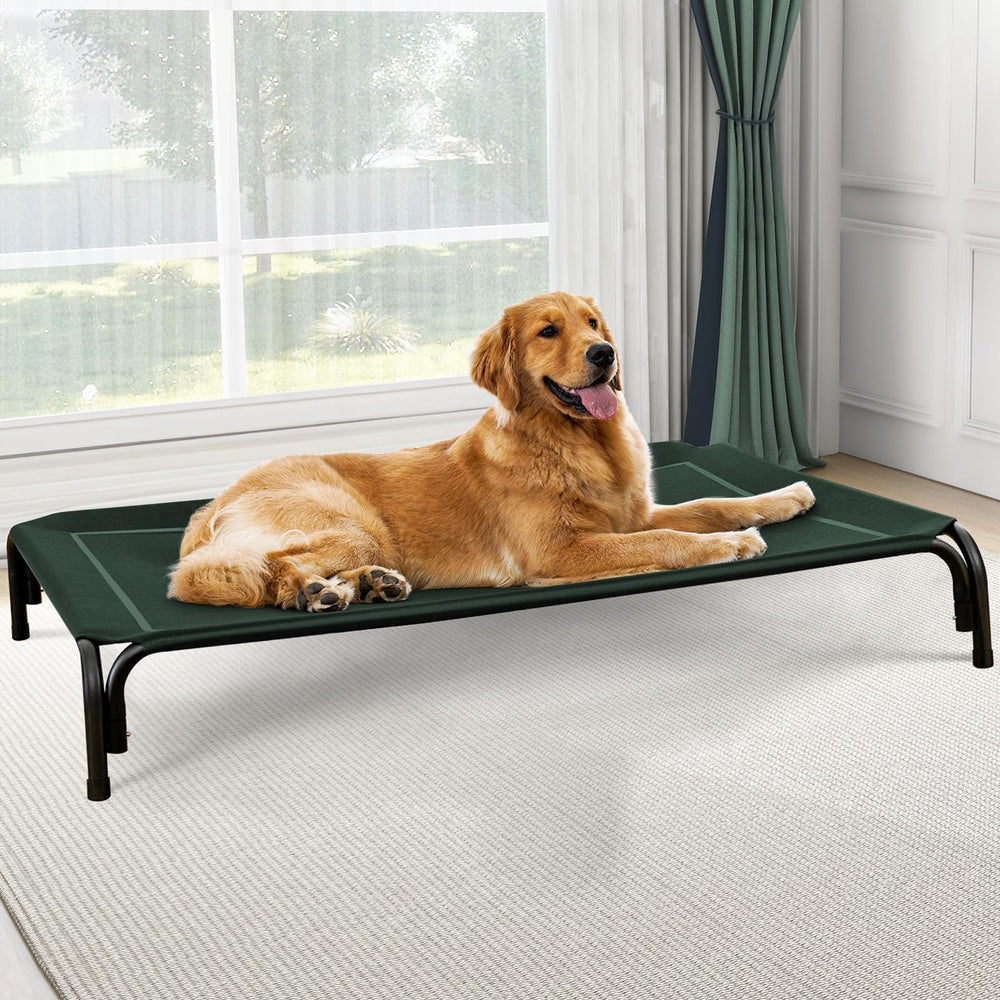 Czpalo lit chien eleve exterieur: repos frais en plein air pour votre chien.