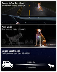 DAAMENT brillance 80 lumens, vous rend plus visibles la nuit.