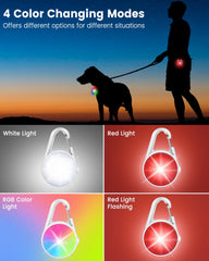 DAAMENT lampe collier chien mode lumière RGB pour distinguer plusieurs chiens