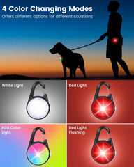 DAAMENT DEL quatre-modes, utile pour distinguer les chiens en balade.