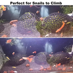 Daelala cache-crevettes aquarium, assemblage-simple: clip bas pour montage rapide