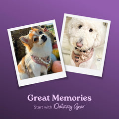 Bandana Daizzy Gear Cocoa Bloom, accessoire coloré pour photos et sorties.