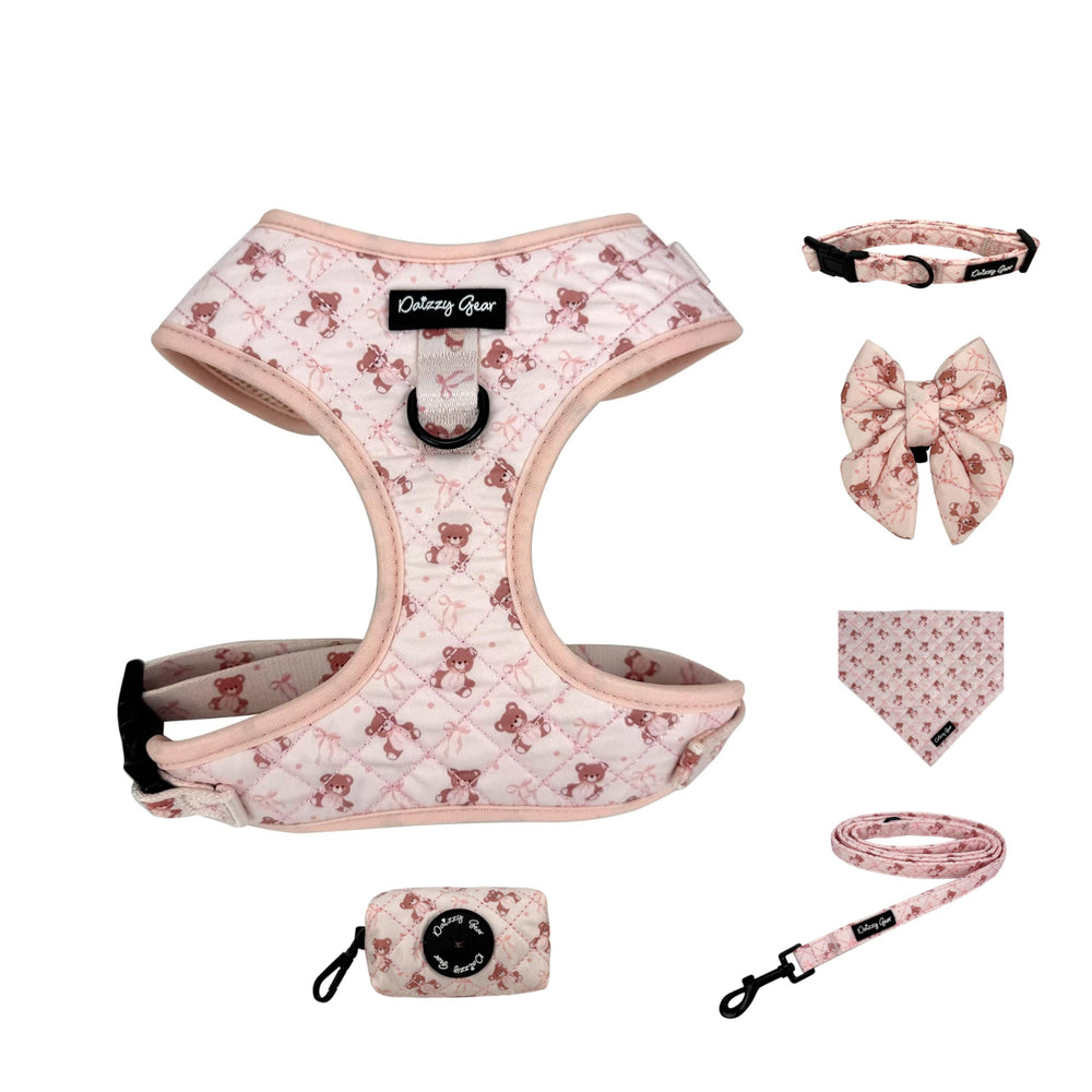 Daizzy Gear harnais-chien-grand-collier: confort et sécurité lors de sorties.