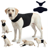 DAJIDALI Veste anxiété chien-chat – vue générale du produit montrant le confort