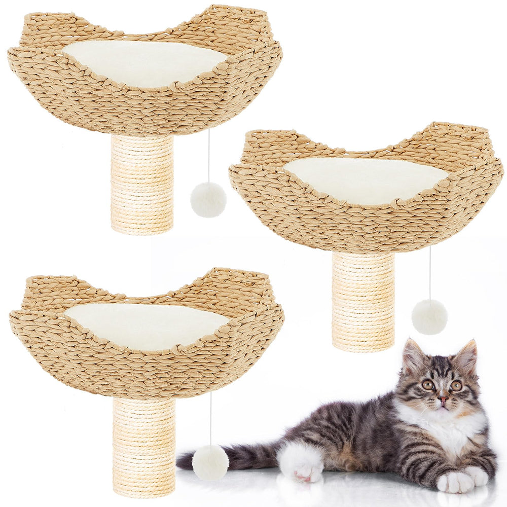 Ensemble d'accessoires Dansydaisy pour tour d'arbre à chat, installation facile.