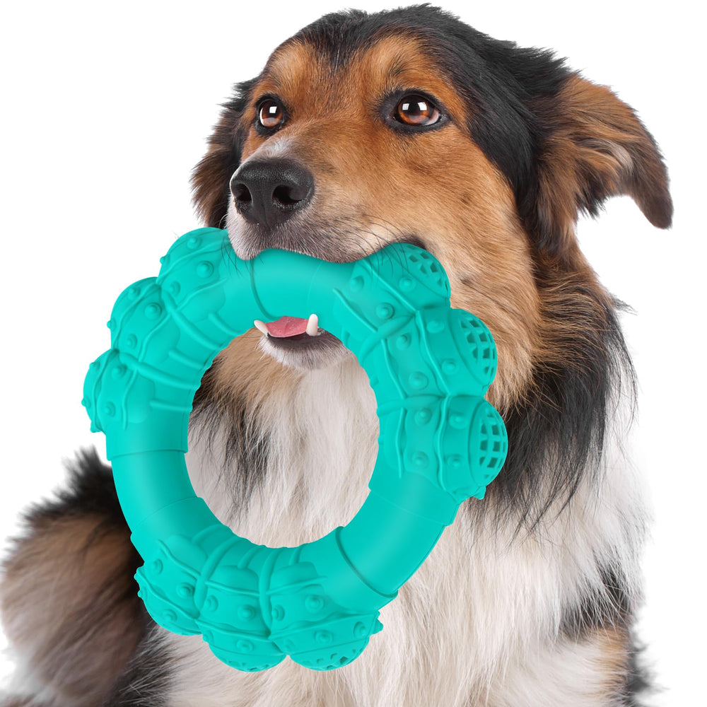 Jouet DAOZIJI anneau indestructible pour chien, résistance et sécurité lors des morsures.
