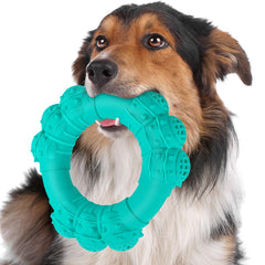 Jouet DAOZIJI anneau indestructible pour chien, résistance et sécurité lors des morsures.