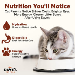 Consistance humide et crèmeuse du pâté Dave's pour nourrir en douceur.