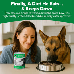 Dave's Pet Food alimentation-complète-adulte : repas équilibré pour chiens adultes.