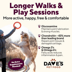 Soutien potentiel des articulations grâce à la glucosamine et au chondroïtine.