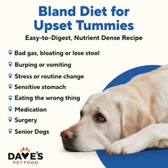 Dave’s Pet Food Bland Diet – boîte 13.2 oz prête à l’emploi pour chiens sensibles.