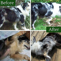 TheraCoat Davis pour chat – peau saine et confort cutané.