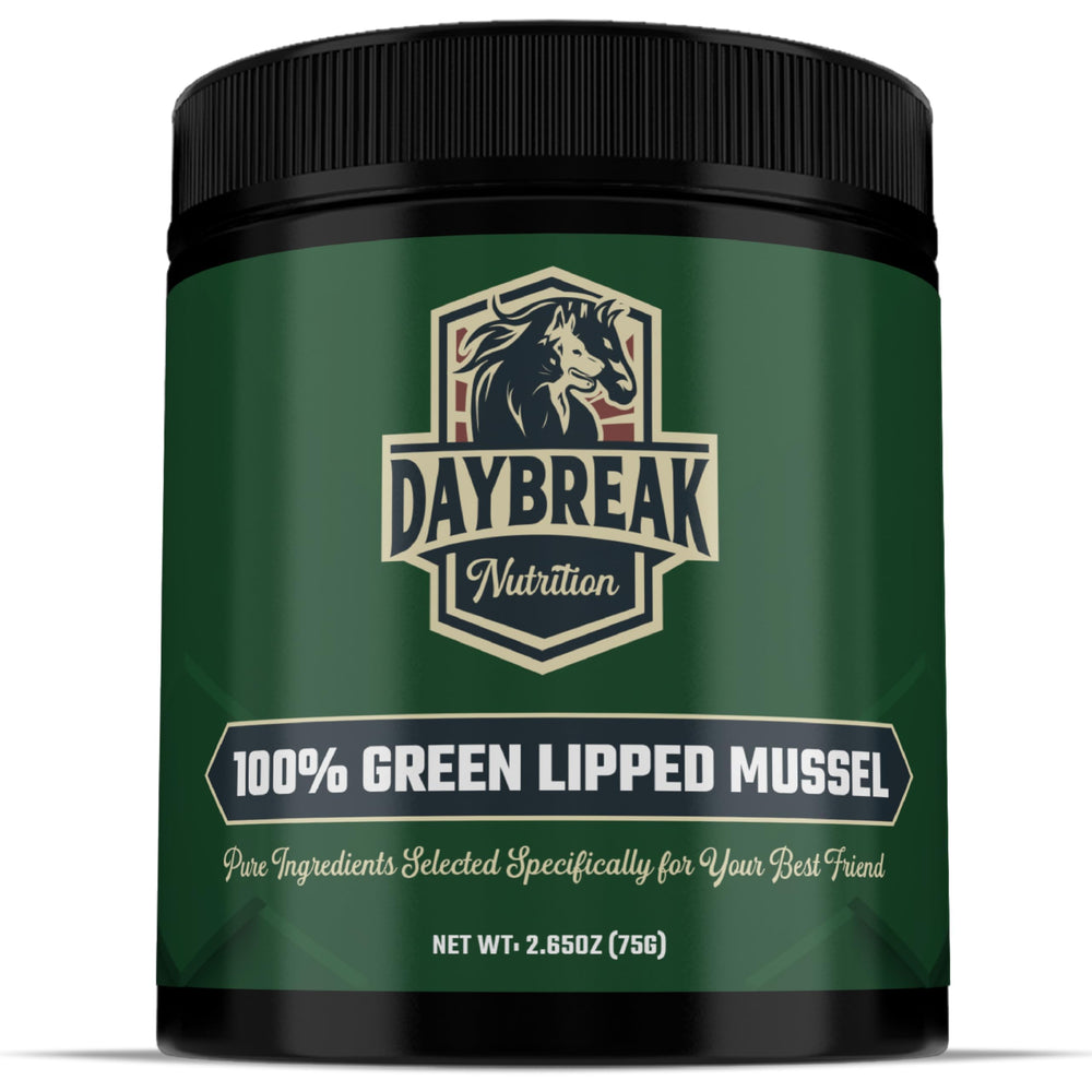 Daybreak Nutrition pour chiens, soutien articulaire naturel et mobilité améliorée.
