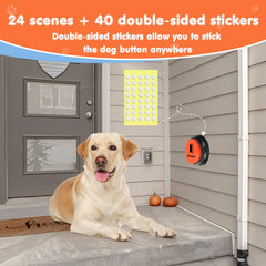 DCIAER Tapis-Boutons-Chien, surface pratique pour l'entraînement quotidien.