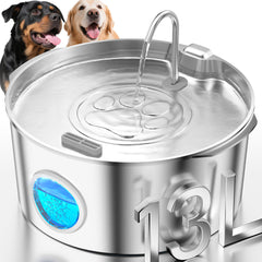 DCIOGAT fontaine-eau-chien-grande-capacite: hydratation continue pour plusieurs chiens.