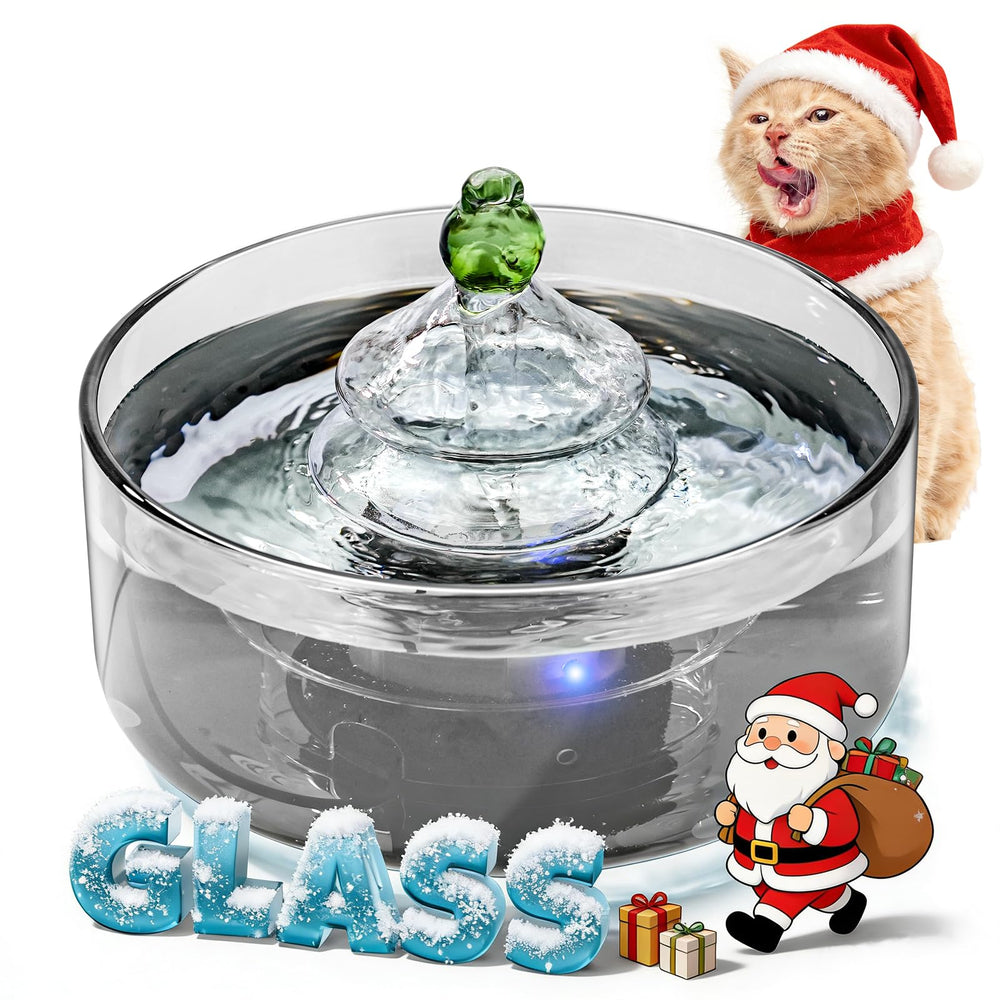 DCIOGAT fontaine-chat-verre-lumiere, eau claire et lumineuse pour votre chat