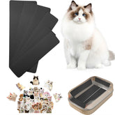 DCSUCC bandes-lime griffes-chat dans bac-litière, pratique et durable.
