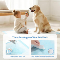 DDS Curtain noyau absorbant gel, gestion rapide des liquides.
