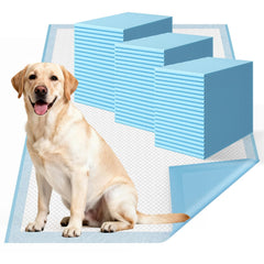 DDS CURTAIN tapis absorbant extra-large 31x36 protégeant les sols lors de l'apprentissage.