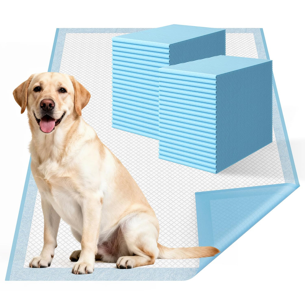 DDS Curtain tapis toilette chien extra-large 31x47, surface sèche et hygiénique.
