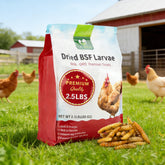 DE AVILA larves noires séches pour poules, stimulant l'appétit des volailles.