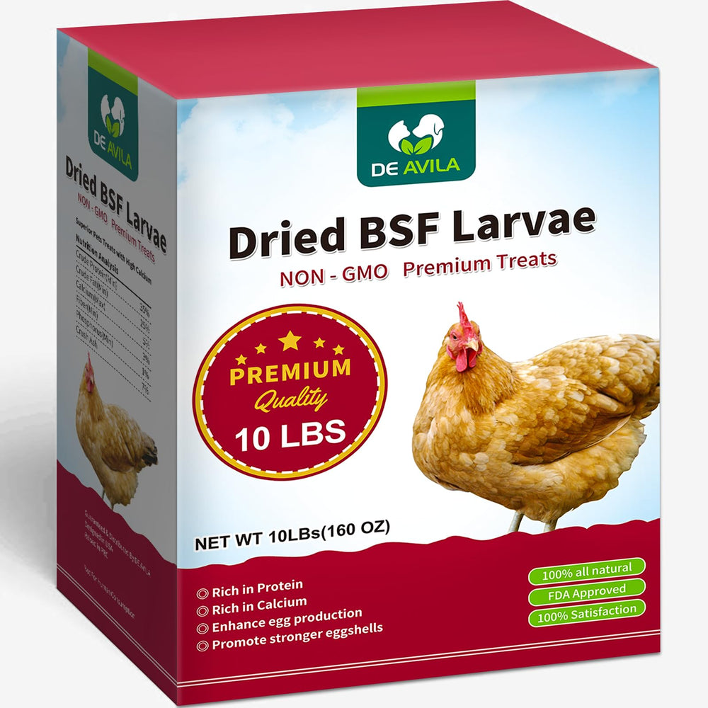 DE AVILA larves noires séchées pour poules, texture croustillante et appétit amélioré