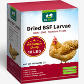 DE AVILA larves noires séchées pour poules, texture croustillante et appétit amélioré