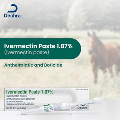 Action rapide Dechra Ivermectine Pâte pour des soins équins efficaces.