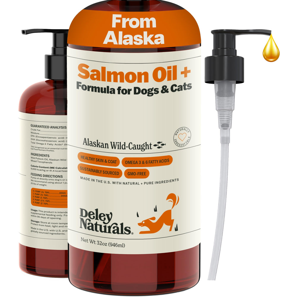 Bouteille huile saumon sauvage Deley Naturals prête à enrichir le repas.