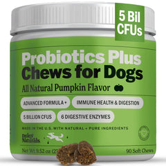 Deley Naturals Probiotics Plus Chews — bouteille, soutien potentiel à la digestion canine.