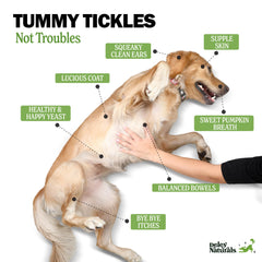 Deley Naturals Probiotics Plus Chews — texture molle, mâchage agréable.