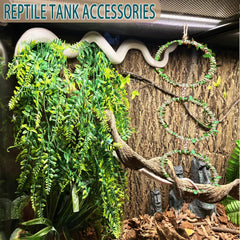 Delllala branche-escalade-terarium: encourager l'escalade naturelle et l'exercice du serpent.