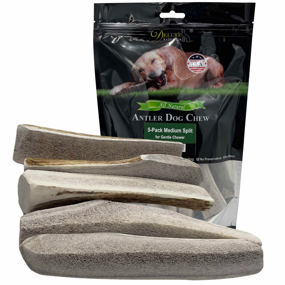 Deluxe Naturals: ensemble 5-pack cornes-de-cerf, idéal pour petites races.