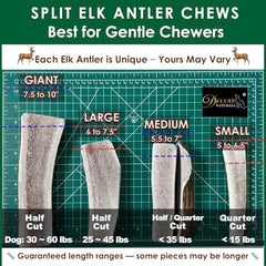 LOT Deluxe Naturals – os d'élan fendu en 6–19 cm pour chiens délicats