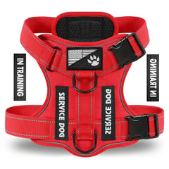 Harnais Demigreat pour chien rouge réfléchissant, visibilité nocturne.