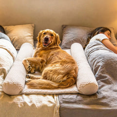 DenMate coussins-coton-dos-chien, soutien doux et réconfortant.